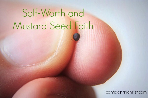 mustard-seed fait blog cover